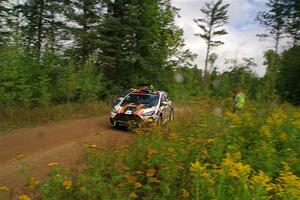 Cameron Steely / Steve Harrell Ford Focus RS on SS11, Otterkill I.