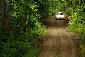 Richo Healey / Michelle Miller Lexus IS350 on SS11, Otterkill I.