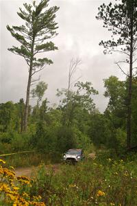 Henry Tabor / Dylan Hooker Ford Fiesta ST on SS11, Otterkill I.