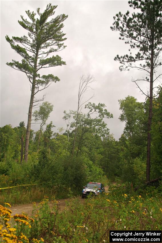 Henry Tabor / Dylan Hooker Ford Fiesta ST on SS11, Otterkill I.
