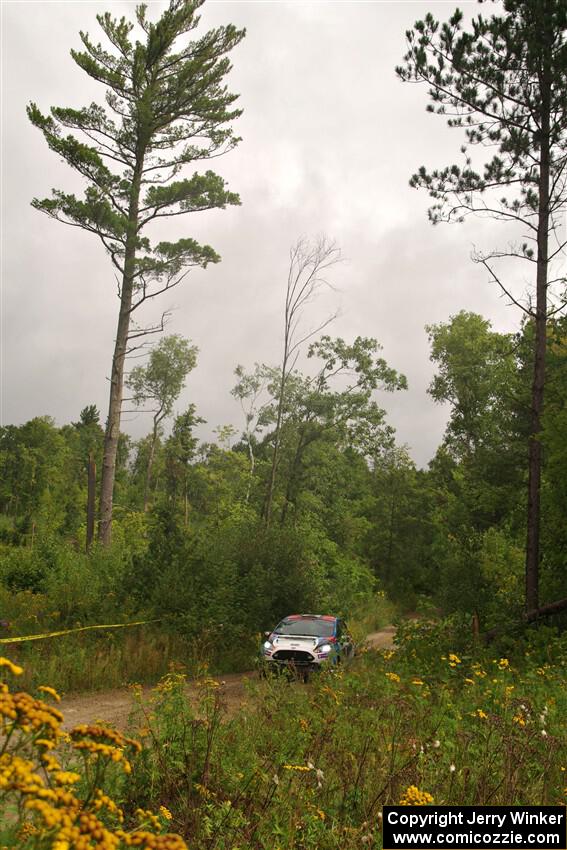 Henry Tabor / Dylan Hooker Ford Fiesta ST on SS11, Otterkill I.