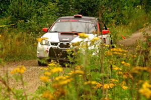 Jason Cook / Maggie Tu Subaru WRX on SS11, Otterkill I.