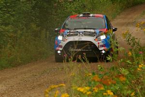 Mark Tabor / Kathryn Hansen Ford Fiesta ST on SS11, Otterkill I.