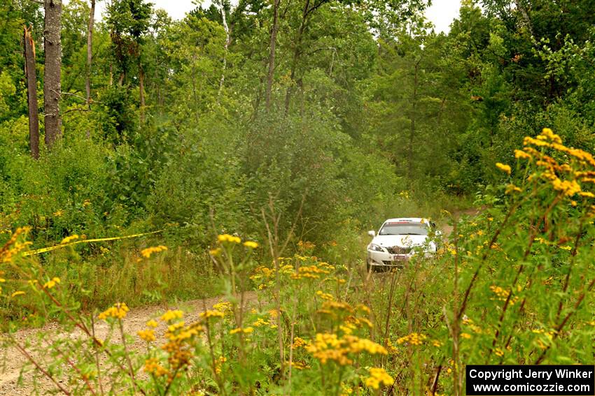 Scott Pedersen / Ryan Scott Lexus IS250 on SS11, Otterkill I.