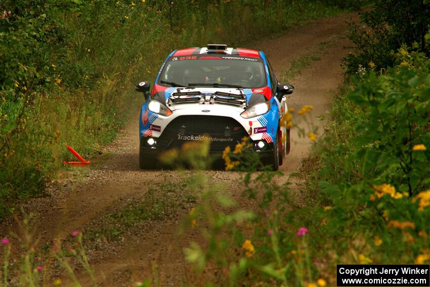 Mark Tabor / Kathryn Hansen Ford Fiesta ST on SS11, Otterkill I.