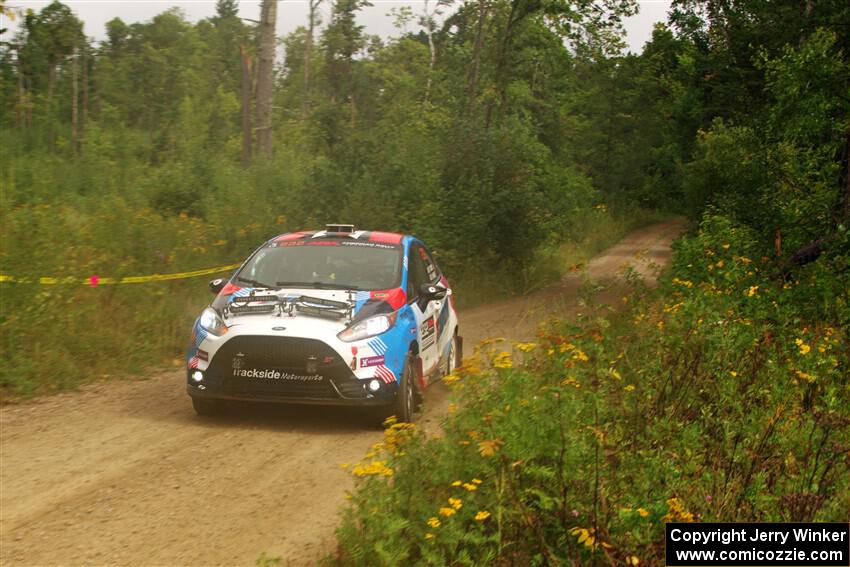 Mark Tabor / Kathryn Hansen Ford Fiesta ST on SS11, Otterkill I.