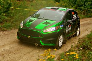 Nick Tippman / David Tippman Ford Fiesta ST on SS11, Otterkill I.