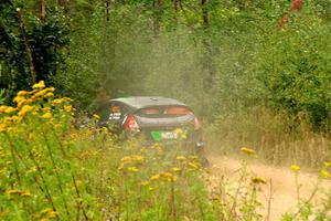 Nick Tippman / David Tippman Ford Fiesta ST on SS11, Otterkill I.