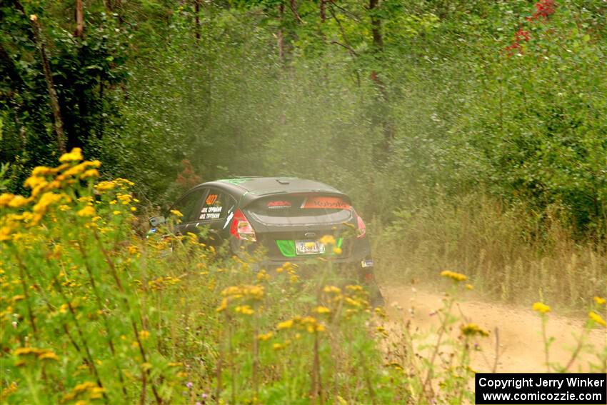 Nick Tippman / David Tippman Ford Fiesta ST on SS11, Otterkill I.