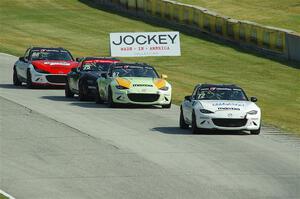 Connor Zilisch's, Selin Rollan's, Parker Kligerman's and Michael Carter's Mazda MX-5 Cups