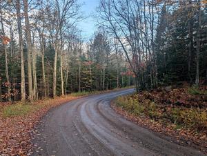 PXL_20251017_143104888