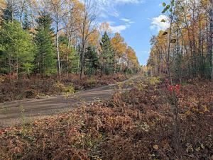 PXL_20251017_193011668