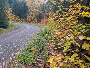 PXL_20251017_205136122