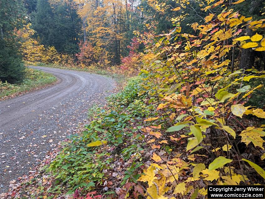 PXL_20251017_205136122