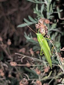 PXL_20251017_234813949