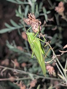 PXL_20251017_234839976