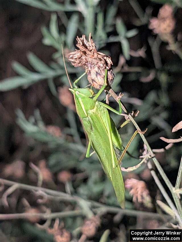 PXL_20251017_234839976