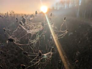 PXL_20251018_124831078