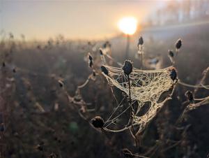 PXL_20251018_124901305