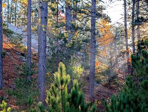 Very cool glacial outcropping alongside of SS9, Two Mile Creek I.