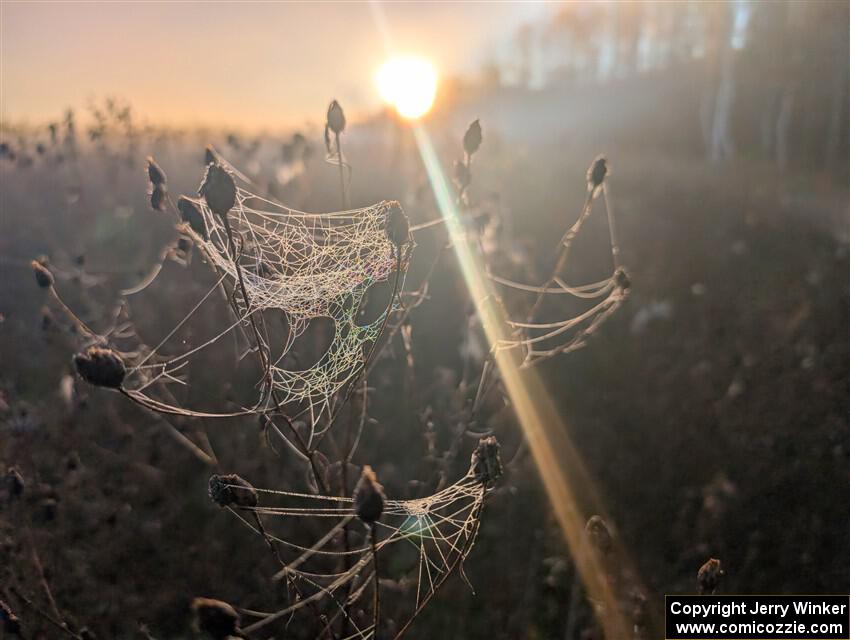 PXL_20251018_124831078