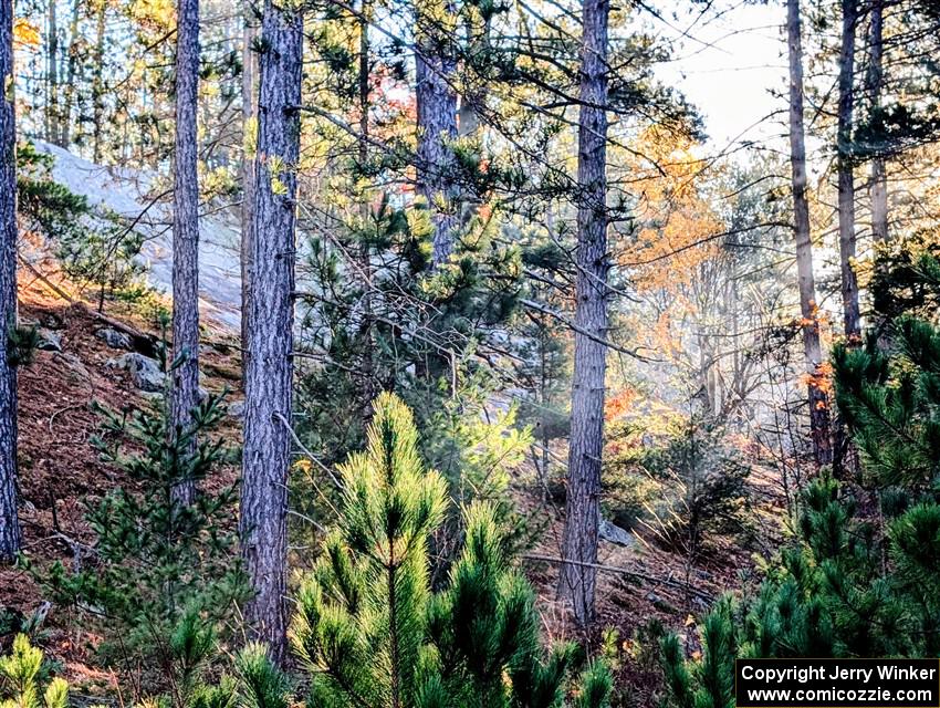 Very cool glacial outcropping alongside of SS9, Two Mile Creek I.
