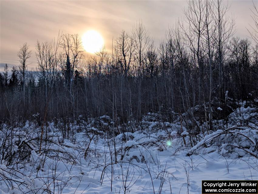 Heavy snow blanketed the bent over saplings at sundown between stages.