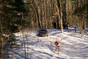 Evan Mosley / Brandon Opperthauser Subaru WRX on SS13, Sage Creek-Vondette.