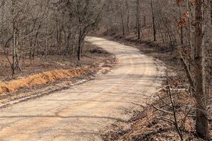 PXL_20260313_180350106