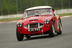 Scott McQueen's Austin-Healey 100-6