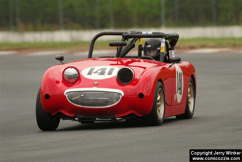 Tom Daly's Austin-Healey Sprite