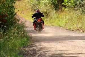 Tali Kurlantzick's Honda CRF1000L on SS5, Norway South II.