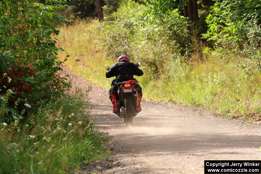 Tali Kurlantzick's Honda CRF1000L on SS5, Norway South II.