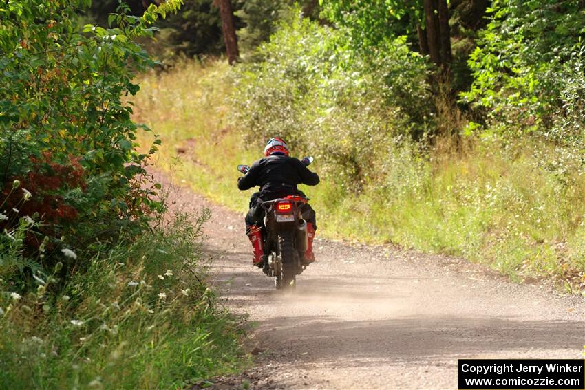 Tali Kurlantzick's Honda CRF1000L on SS5, Norway South II.