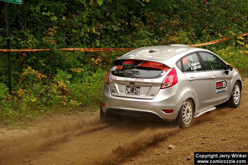 IMGP6234