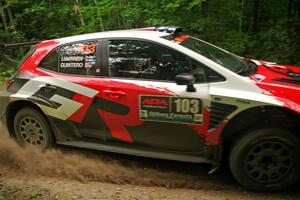 IMGP6307