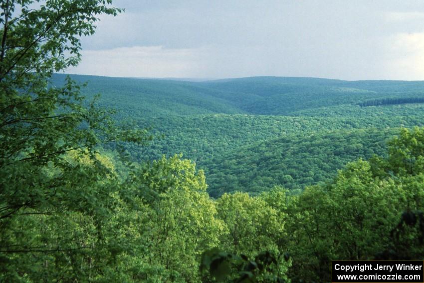 Panoramic view of the Tioga State Forest